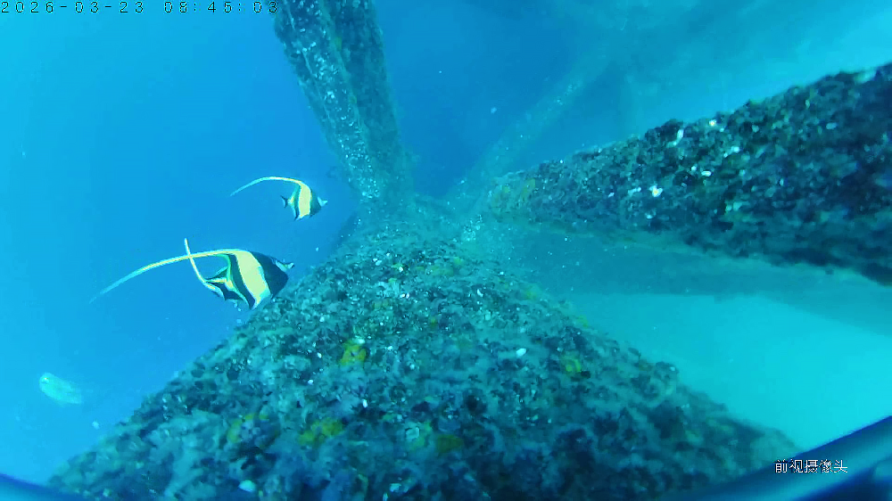 深海能源开发的中国破局：一场海试背后的技术突围与成本革命